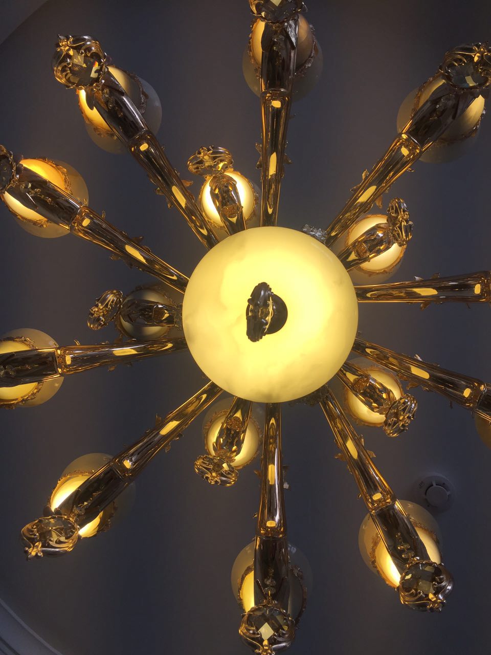 بوستان لایت