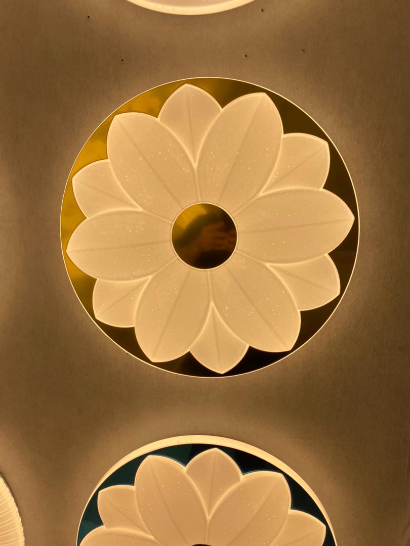 بوستان لایت