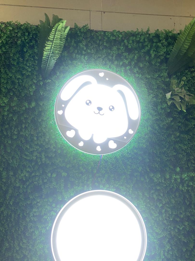 بوستان لایت